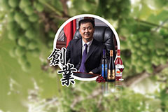 97好色视频葡萄酒总经理毕晓雪接受《文汇报》专访，畅谈“一带一路”建设经验